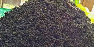 Premium Organic Vermi Compost