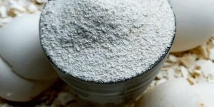 White Eggshell Powder