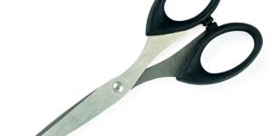 Stainless Steel Scissor