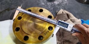 Forged Flanges