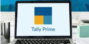 tally prime gst software