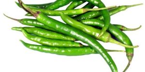 a Grade Green Chilli