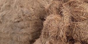 Rice Straw