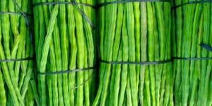 Fresh Long Drumsticks