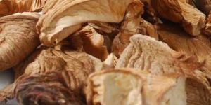 Dried Mushroom
