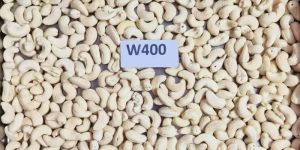 Cashew Nuts Kaju W180