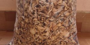 Dried Mushroom
