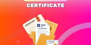IEC Certificate