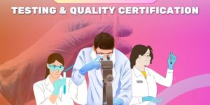 standardization testing bis certification