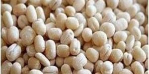 White Urad