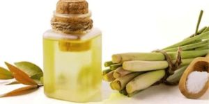 Citronella Aroma Oil