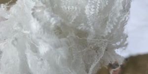 Polyester Staple Fibre