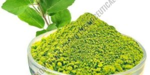 Tulsi Leaves Powder