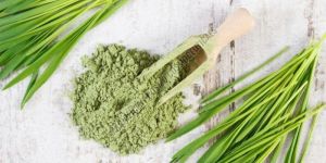 Wheat Grass Powder