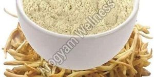 Organic Safed Musli Powder