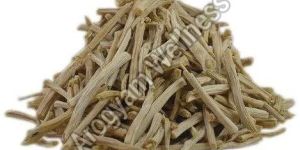 Organic Shatavari Root