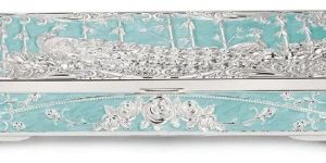 Peacock Dry Fruit Box 2 in 1 Sky Blue