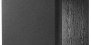 Revel B1 Active Subwoofer