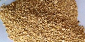 Soybean Meal