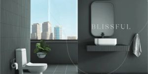 White Ceramic One Piece Toilet Seat