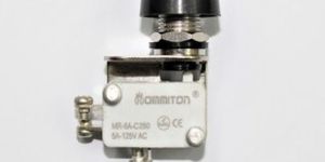 Thump Push Micro Switch