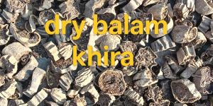 dry fruits balam khira phal