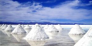 Triple Refined Free Flow Iodized Salt