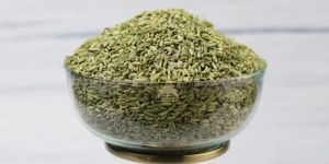 Premium Quality Fennel Seeds