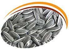 Sunflower Seeds