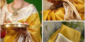 Banarasi Zari Tissue Saree