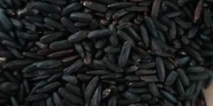 Black Kavuni RIce