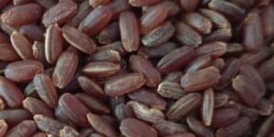 Mappillai Samba Rice