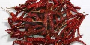 Natural Dried Red Chilli