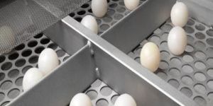 Plansifter Rubber Balls