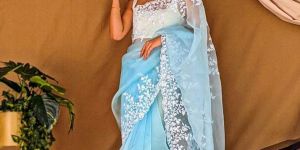 Ladies Designer Organza Silk Saree