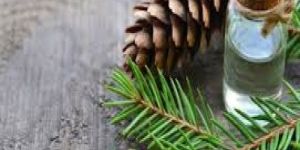 Fir Needle Essential Oil