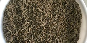 Singapore Quality Cumin Seeds