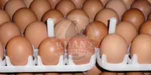 Sonali Hatching Eggs