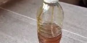 Used Cooking Oil