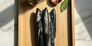 Polished Orthoceras Display Marine Fossil Fossil Kuber Stone