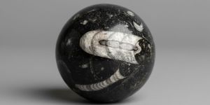 Polished Orthoceras Ammonite Fossil Sphere Kuber Stone