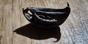 Martynia Annua Bat Head Root