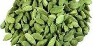 Small Green Cardamom Pods