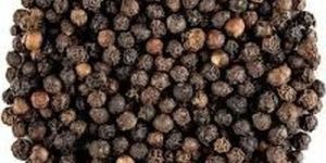 Tellicherry Garbled Black Pepper Seeds