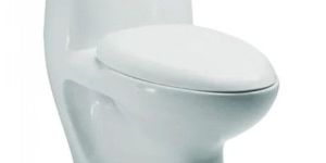 Water Closet Toilet