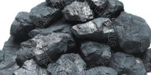Steam Coal