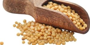 Natural Yellow Mustard Seeds