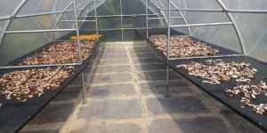 Solar Vegetable Dryer Machine