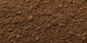Cow Dung Powder