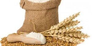 Wheat Flour